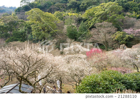 Atami plaza Atami plaza 21288110