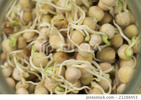 peas on the white background peas on the white background 21288453