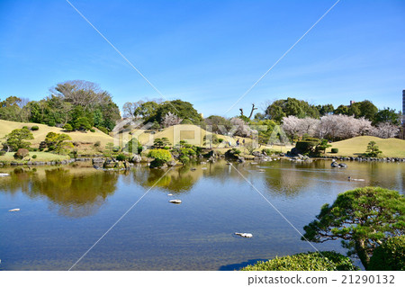 Kumamoto Suizenji Gardens 21290132