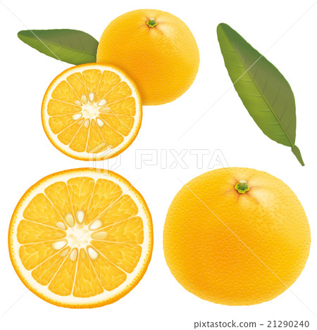 Summertime orange 21290240