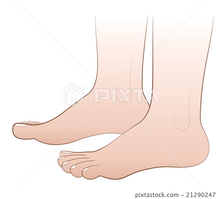 Feet Barefoot 21290247