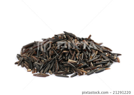 Wild rice 21291220