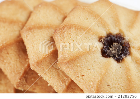 biscuit 21292756