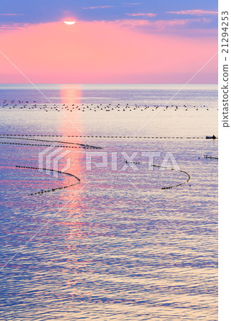 Sunrise and Fishing Nets on Sea Surface. Sunrise and Fishing Nets on Sea Surface. 21294253