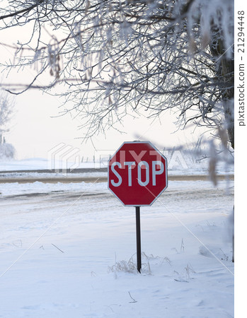 traffic sight at snow 21294448