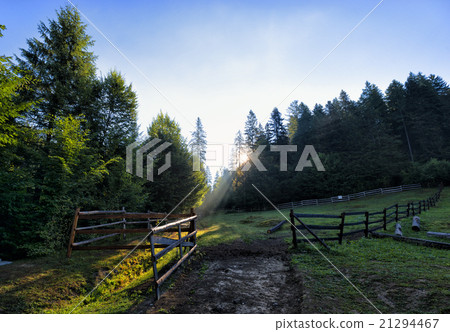 Typical wooden fence for sheep grazing Typical wooden fence for sheep grazing 21294467