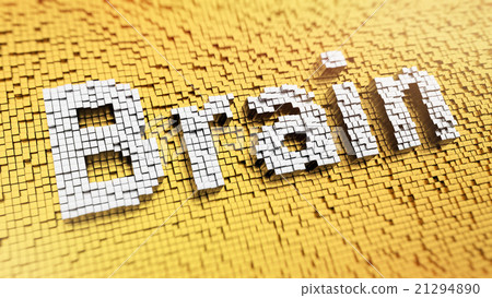 Pixelated Brain 21294890
