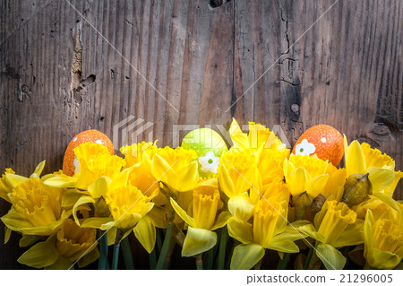 Bunch of daffodils with easter eggs for Easter Bunch of daffodils with easter eggs for Easter 21296005