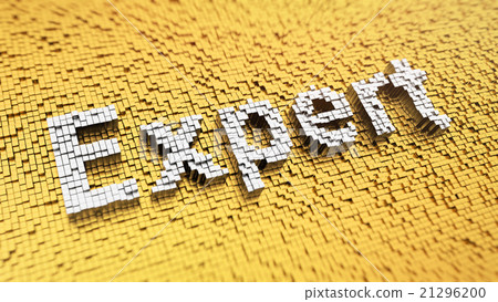 Pixelated Expert Pixelated Expert 21296200