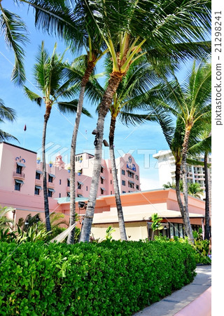 夏威夷的假期 21298241