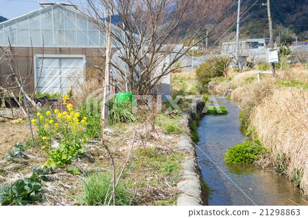 Brook flowing through the farm Brook flowing through the farm 21298863