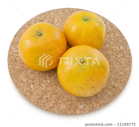 Tree Ripe Oranges on A White Background Tree Ripe Oranges on A White Background 21299775