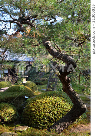 Yunutein Senggyu-ji Towerhead garden (2016.1) 21300019