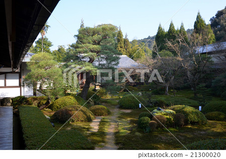 Yunutein Senggyu-ji Towerhead garden (2016.1) 21300020