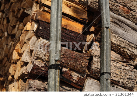 Firewood 21301344