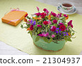 Arrangement of carnation and potatoes 21304937