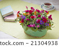 Arrangement of carnation and potatoes 21304938