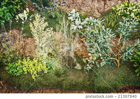 Gardening theme, natural scene, greenery 21307840