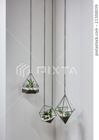 Hanging vases with plants 21308039