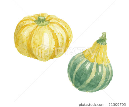 Pepo pumpkin toy pumpkin Pepo pumpkin toy pumpkin 21309703