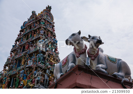 Sri Maryaman寺廟在唐人街,新加坡 Sri Maryaman寺廟在唐人街,新加坡 21309930