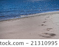the sandy beach at the blue river with traces 21310995