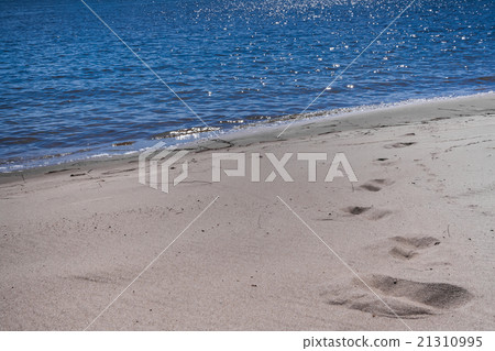 the sandy beach at the blue river with traces 21310995