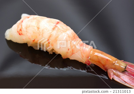 植物蝦抓地力 植物蝦抓地力 21311013