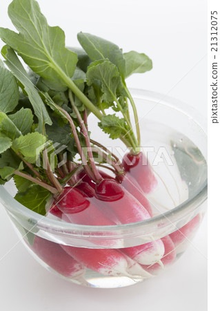 RADISH WATER FINGER BALL Vertical position up 21312075