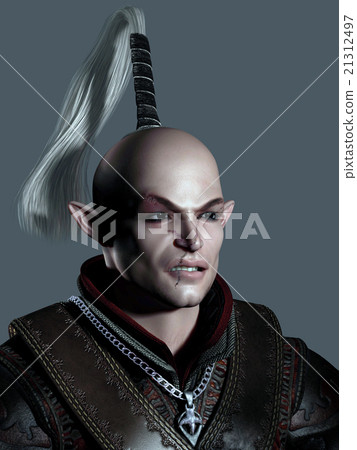 Battle Scarred Elf Warrior Portrait Battle Scarred Elf Warrior Portrait 21312497
