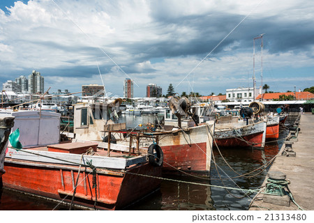 Classic Red Fishing Boats moored in front yachts  Classic Red Fishing Boats moored in front yachts  21313480