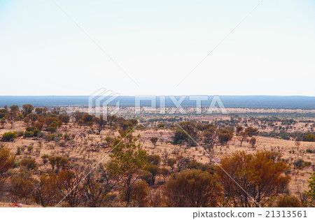 荒野地平線 21313561