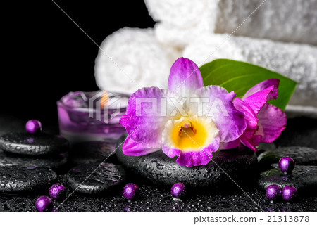 beautiful spa background of orchid dendrobium beautiful spa background of orchid dendrobium 21313878
