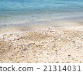 Clear blue water and beach in the tropical climate 21314031