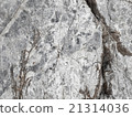The rock texture the natural environment 21314036