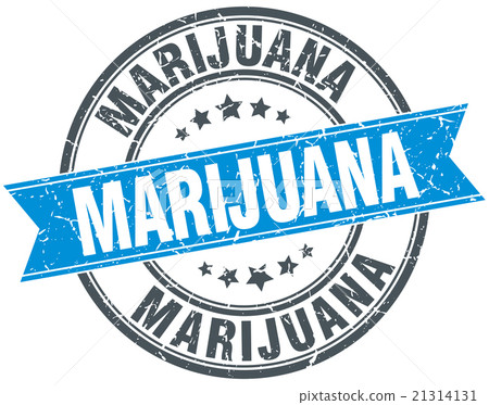 marijuana blue round grunge vintage ribbon stamp marijuana blue round grunge vintage ribbon stamp 21314131