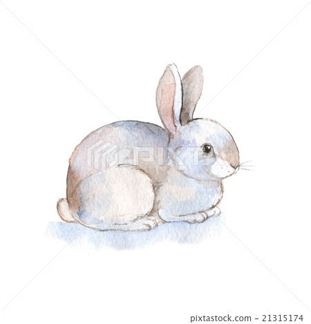 White rabbit 2. Watercolor illustration. Hand-draw White rabbit 2. Watercolor illustration. Hand-draw 21315174