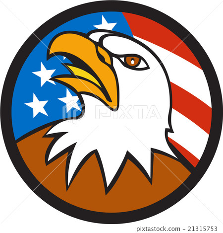American Bald Eagle Head Looking Up Flag Circle 21315753