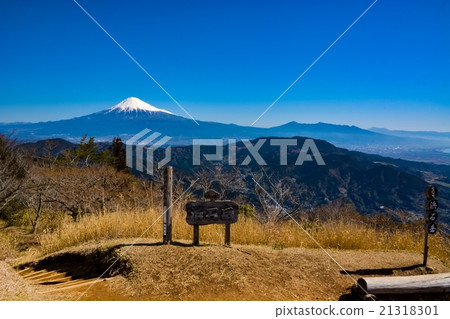 Hamaishidake（87） 21318301