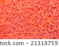 Red flower background 21318759
