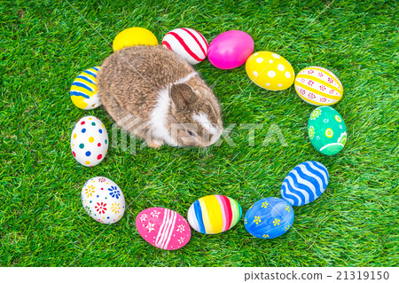 Rabbit and easter eggs in green grass 21319150