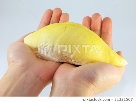 Close up Durian on hands 21321507