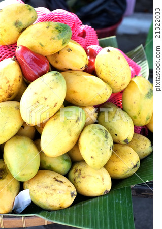 Mango fruits Mango fruits 21322033