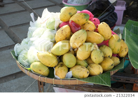 mango mango 21322034