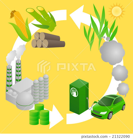 生物質乙醇生產週期圖像例證 21322090