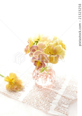 Pansy flowers decorated in bottles Pansy flowers decorated in bottles 21323258