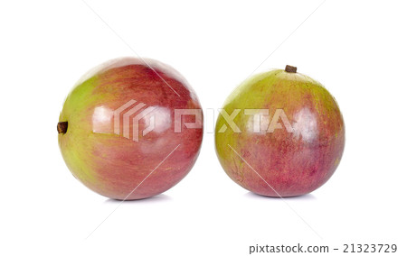 Star apple isolated on the white background 21323729
