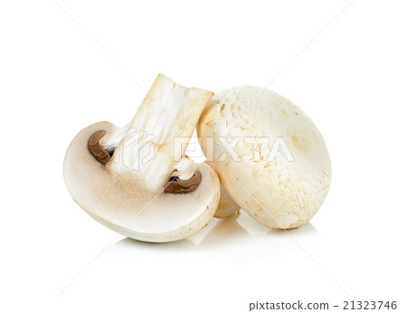 Champignon mushroom isolated on white 21323746