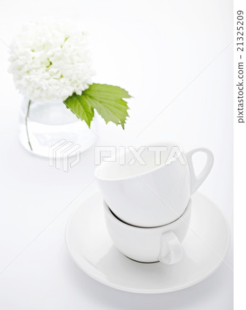 Utilization of dishes 21325209