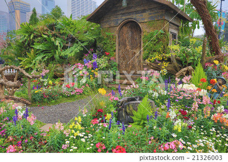 easter theme flowers in the garden easter theme flowers in the garden 21326003